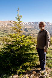 Al-Arz;Kaleidos;Kaleidos-images;Lebanon;Middle-East;Near-East;Tarek-Charara;Youssef-Tawk;Cedars;Cedars-of-Lebanon;Cedrus-libani